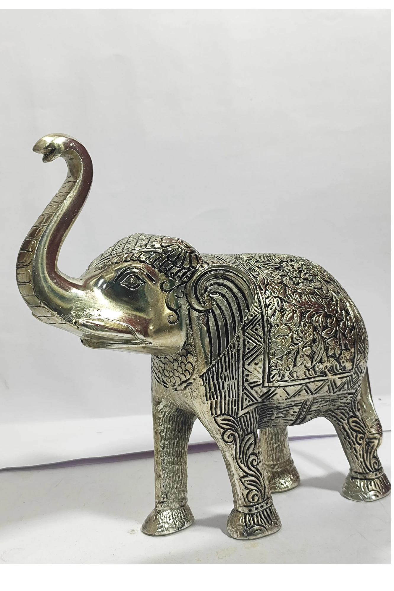 Elephant-11No-Z05341
