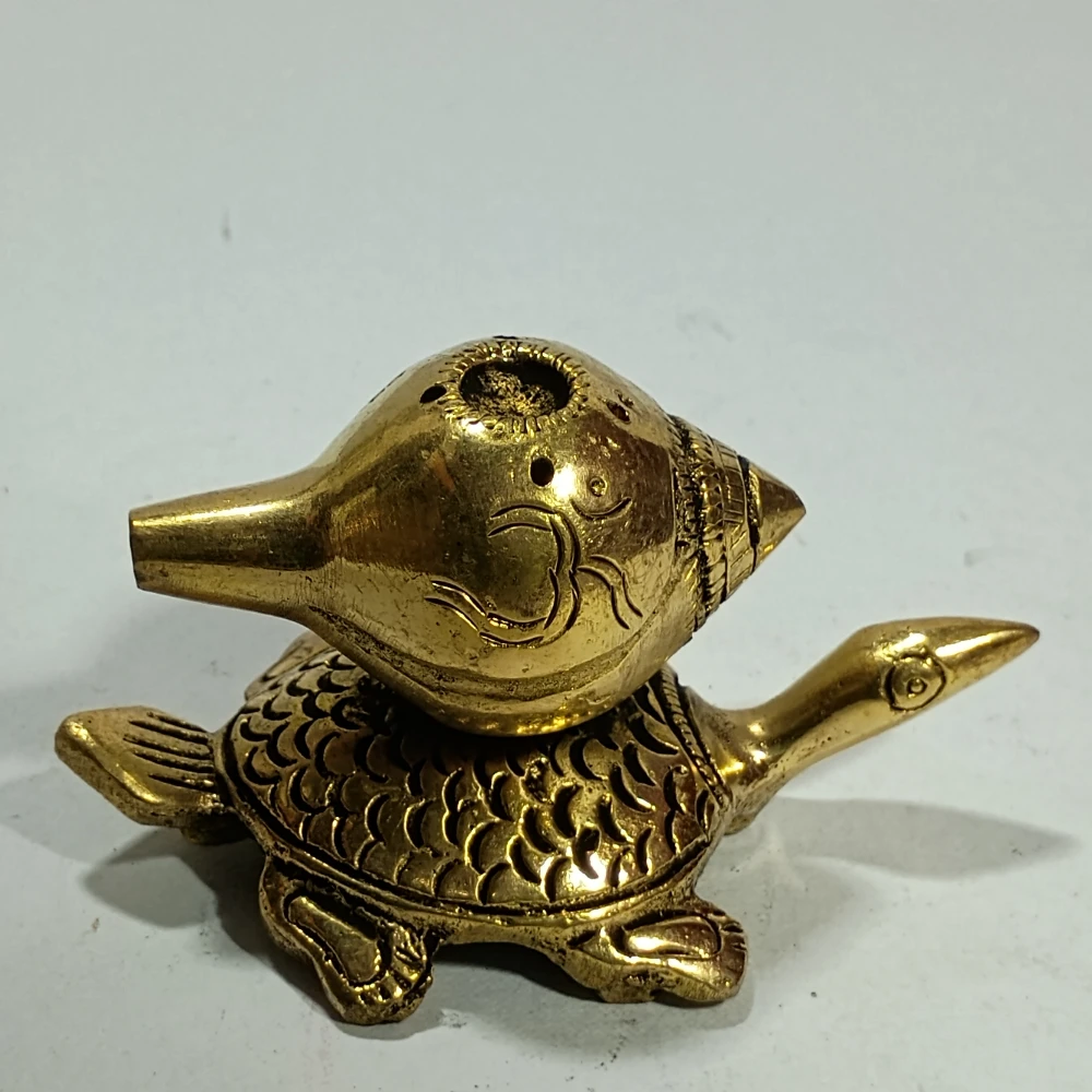 Agardan with tortoise-2.5No-Z11466