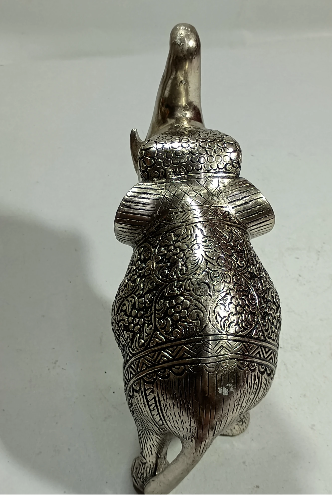 Elephant-7No-Z01854