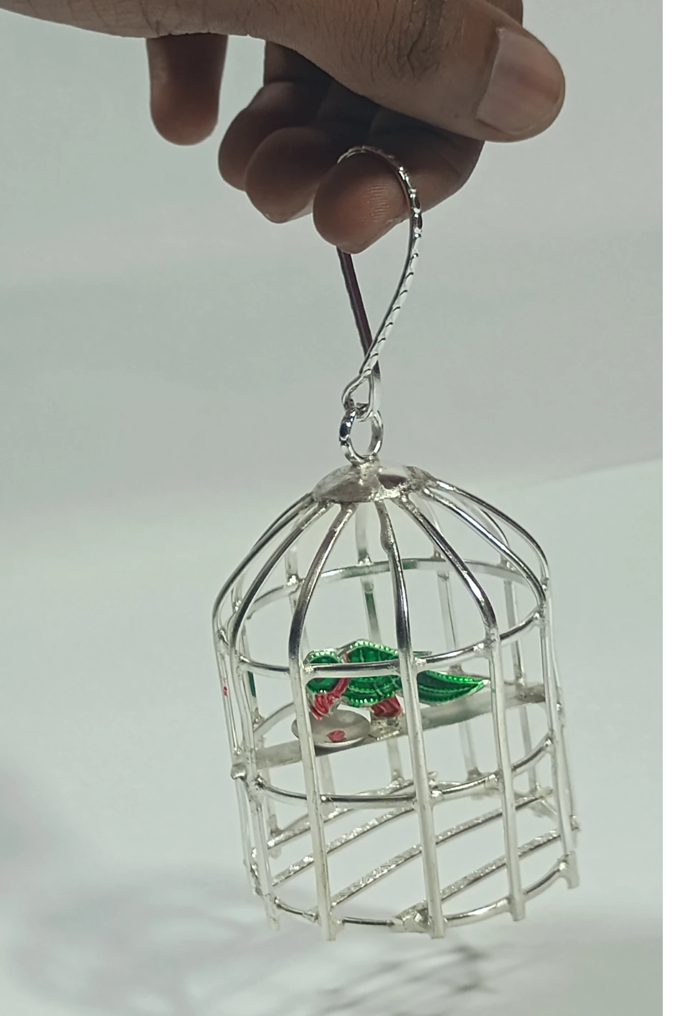 Parrot in Cage-2.5No-Z05781