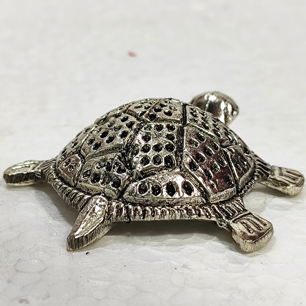 Tortoise-3.5No-Z00363