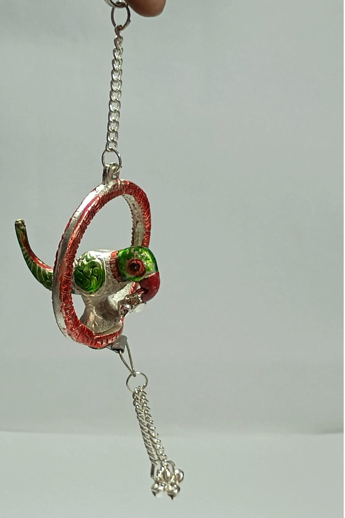 Parrot with ring-3No-Z00293