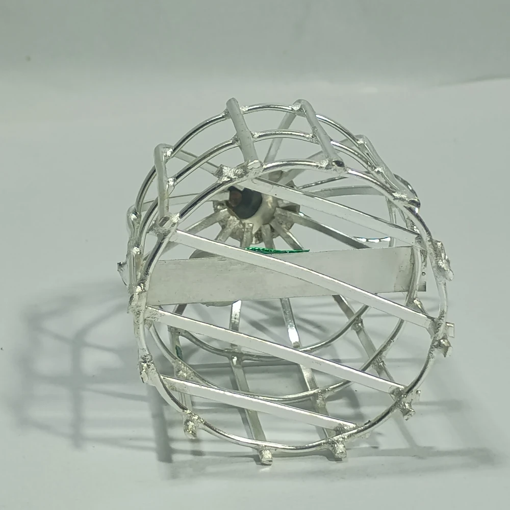 Parrot in Cage-2.5No-Z05781