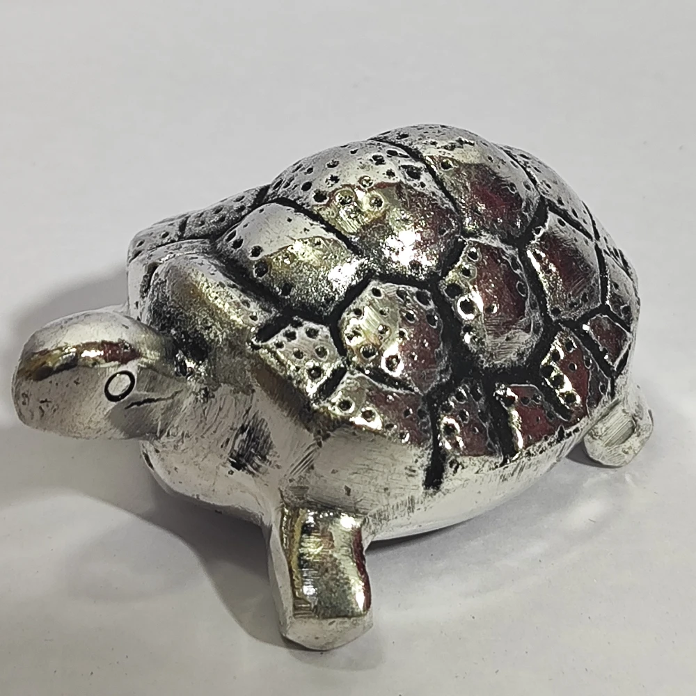Tortoise-1.5No-Z10498