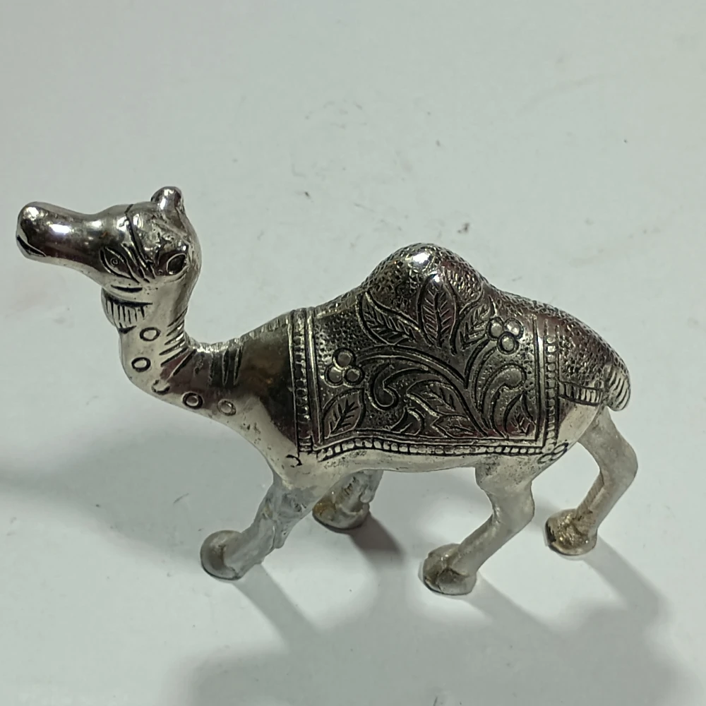 Camel-5.5No-Z01515