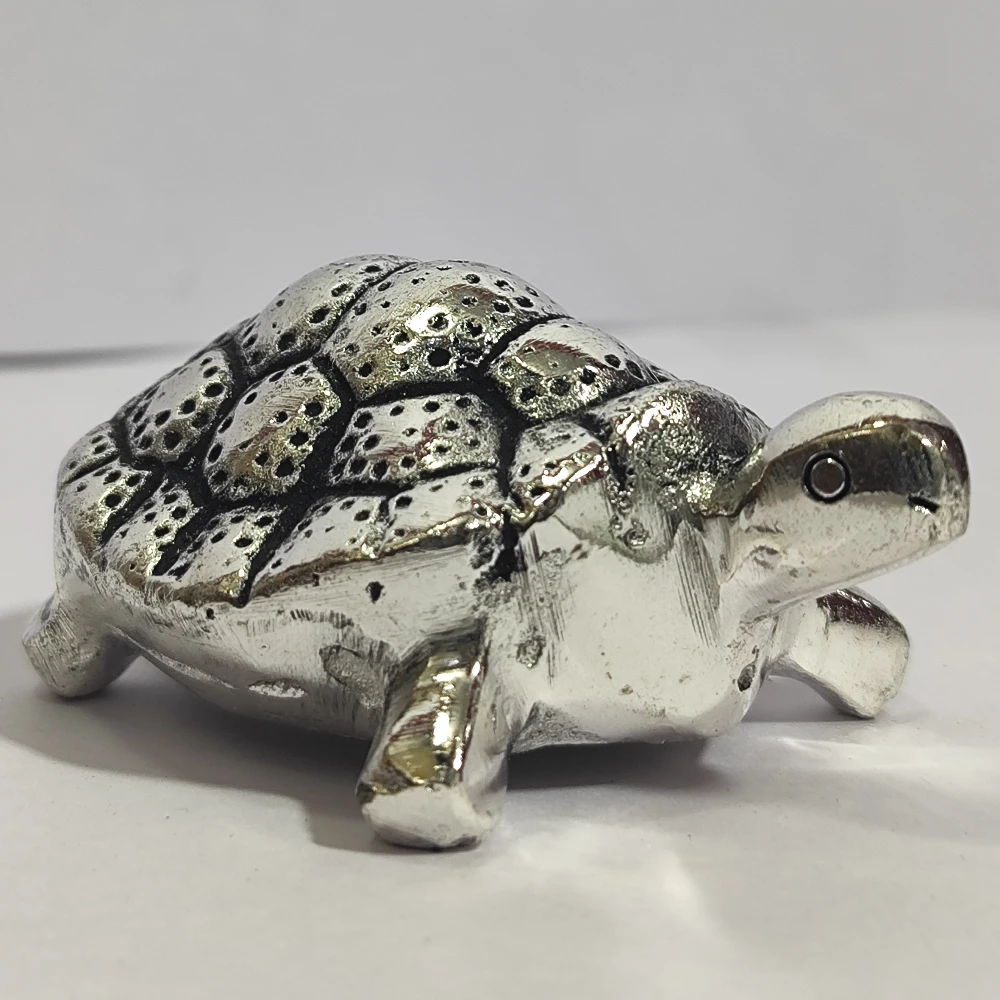Tortoise-1.5No-Z10498