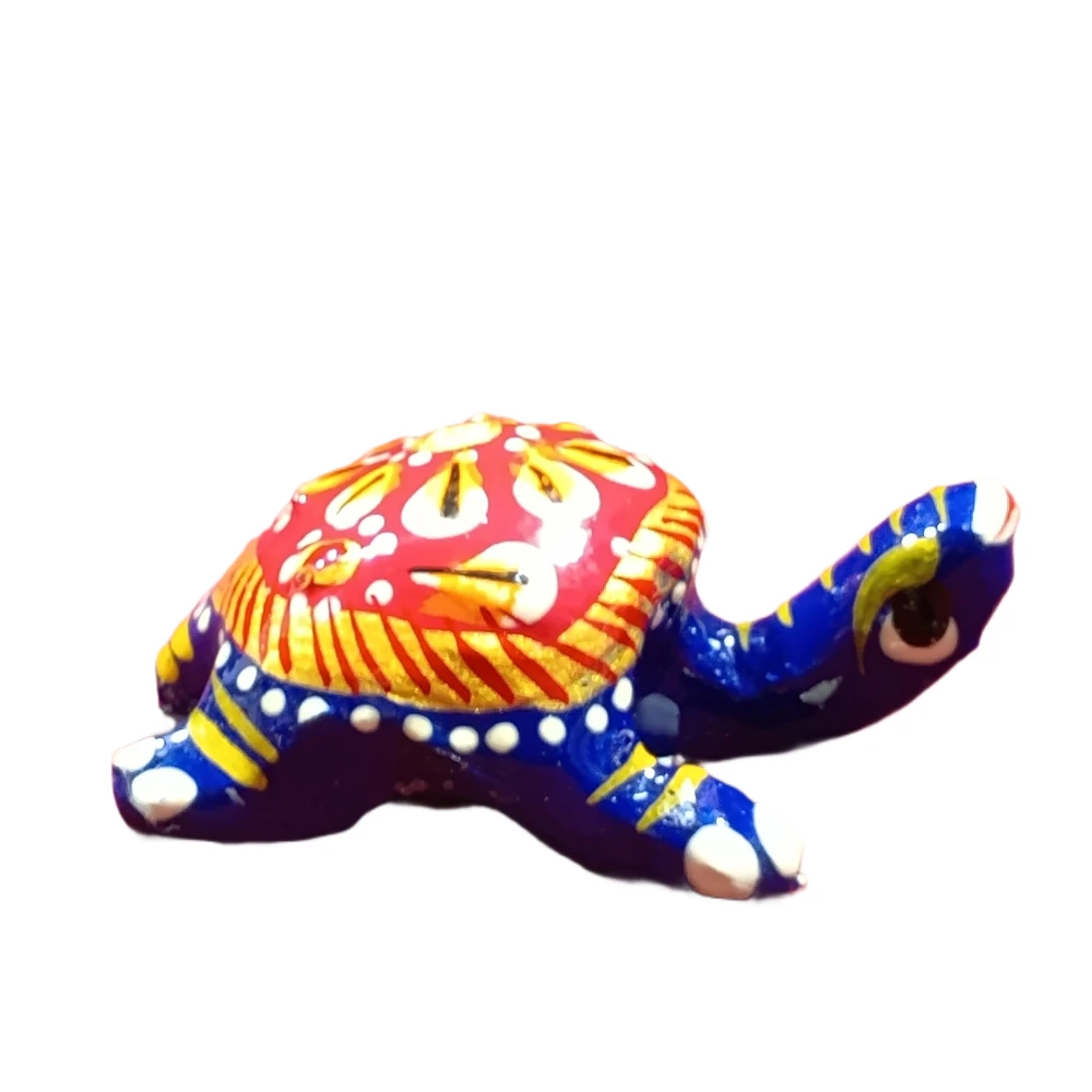 Tortoise-2.5No-Z11662