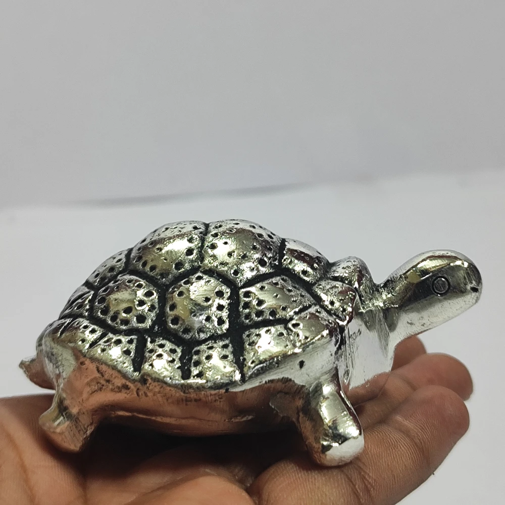 Tortoise-1.5No-Z10498