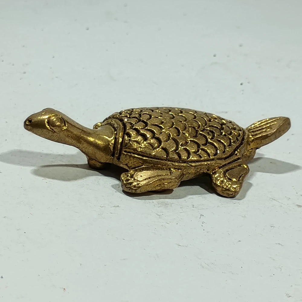 Tortoise-3.5No-Z08156