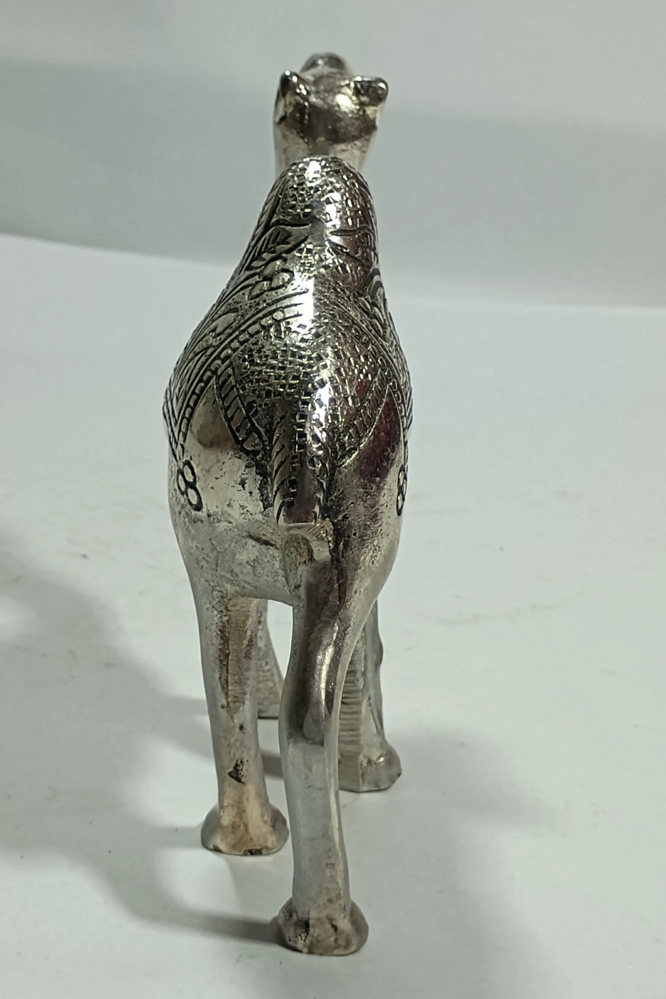Camel-5.5No-Z01515