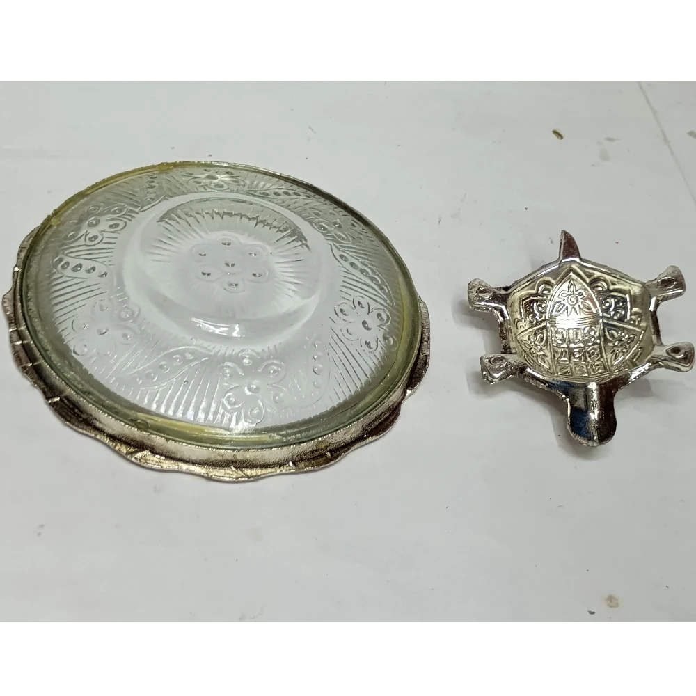 Tortoise  With Plate-5.5No-Z03987