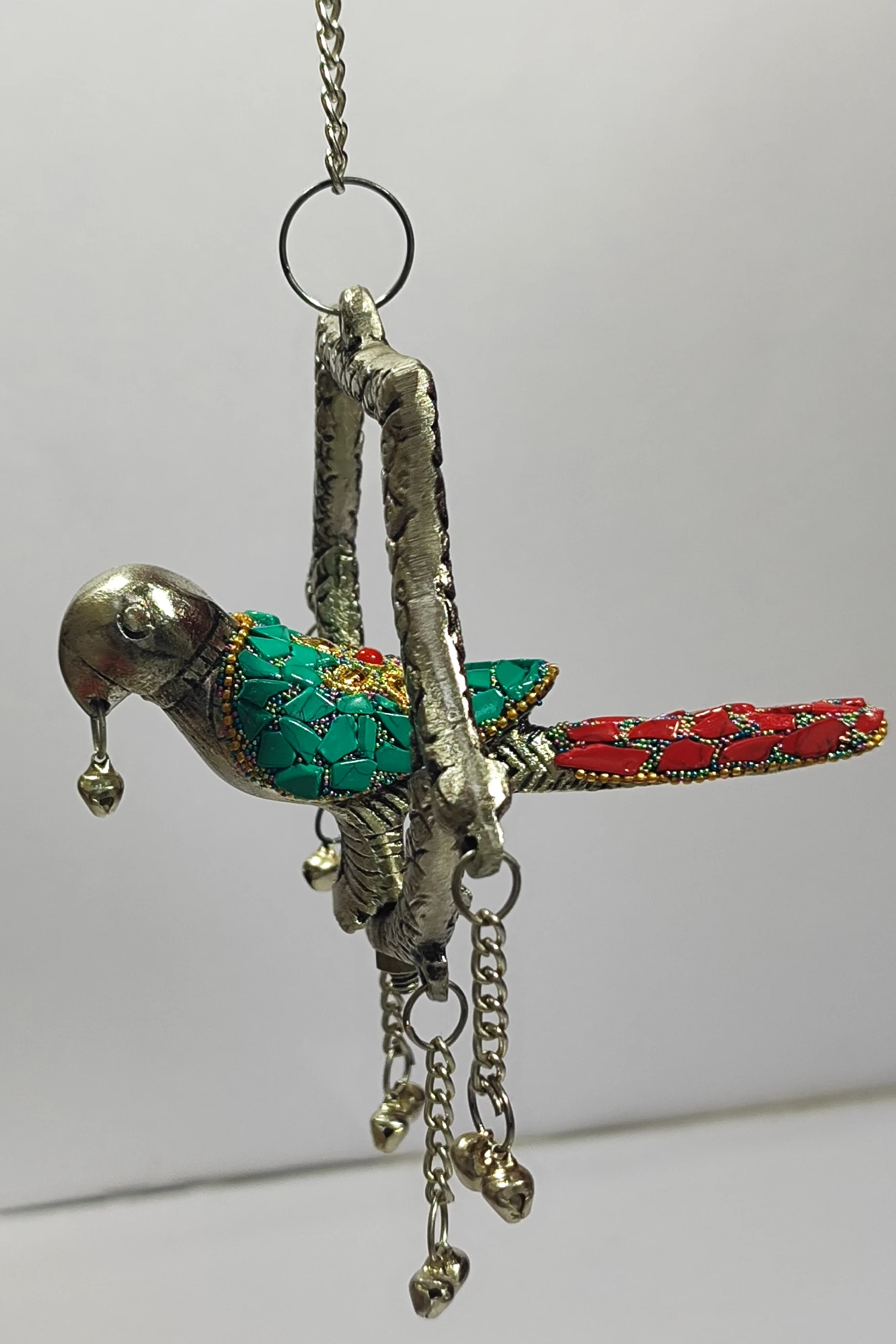 Parrot-5No-Z12962