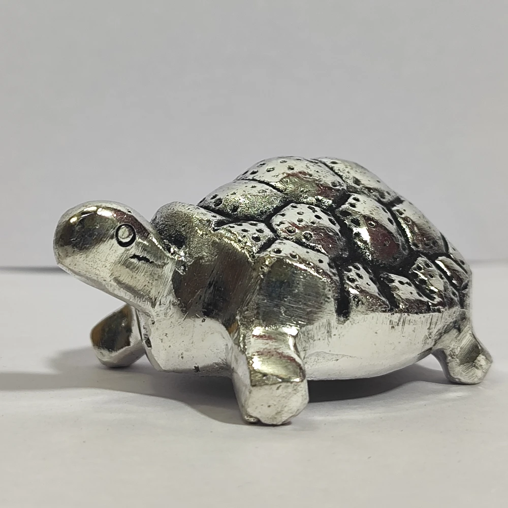 Tortoise-1.5No-Z10498
