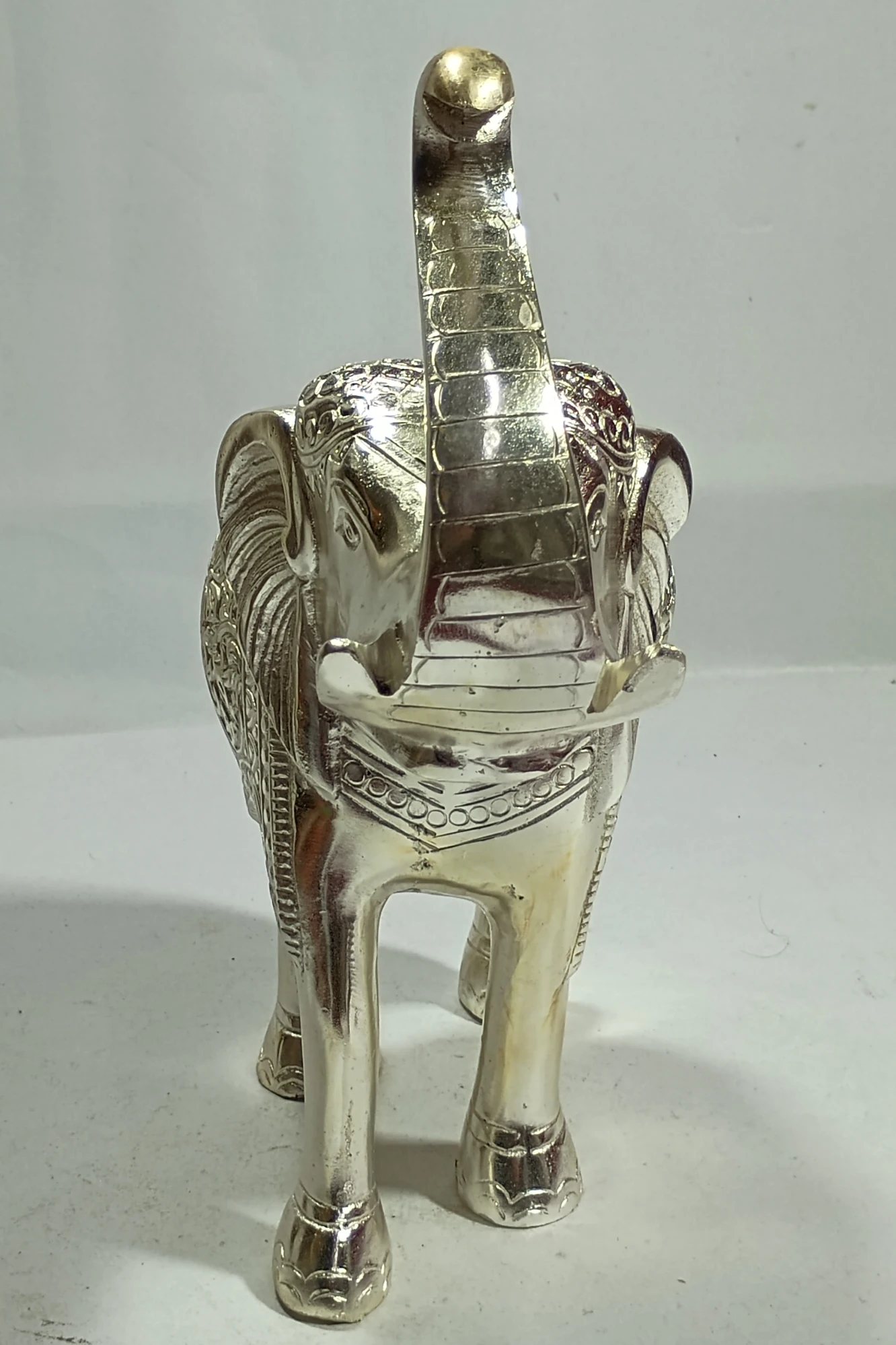 Elephant-11No-Z12158