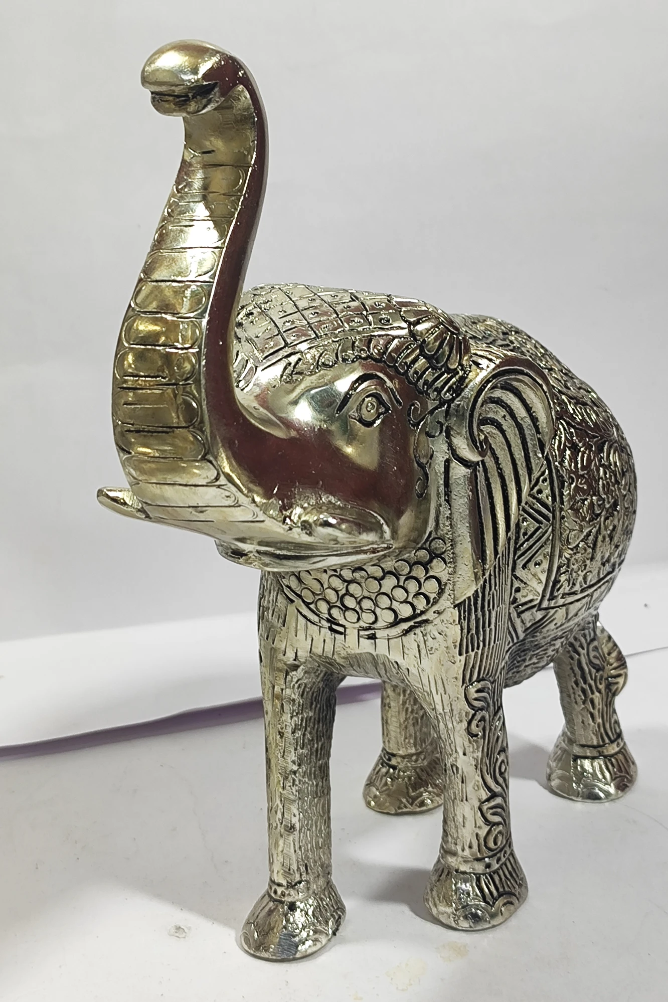 Elephant-11No-Z05341