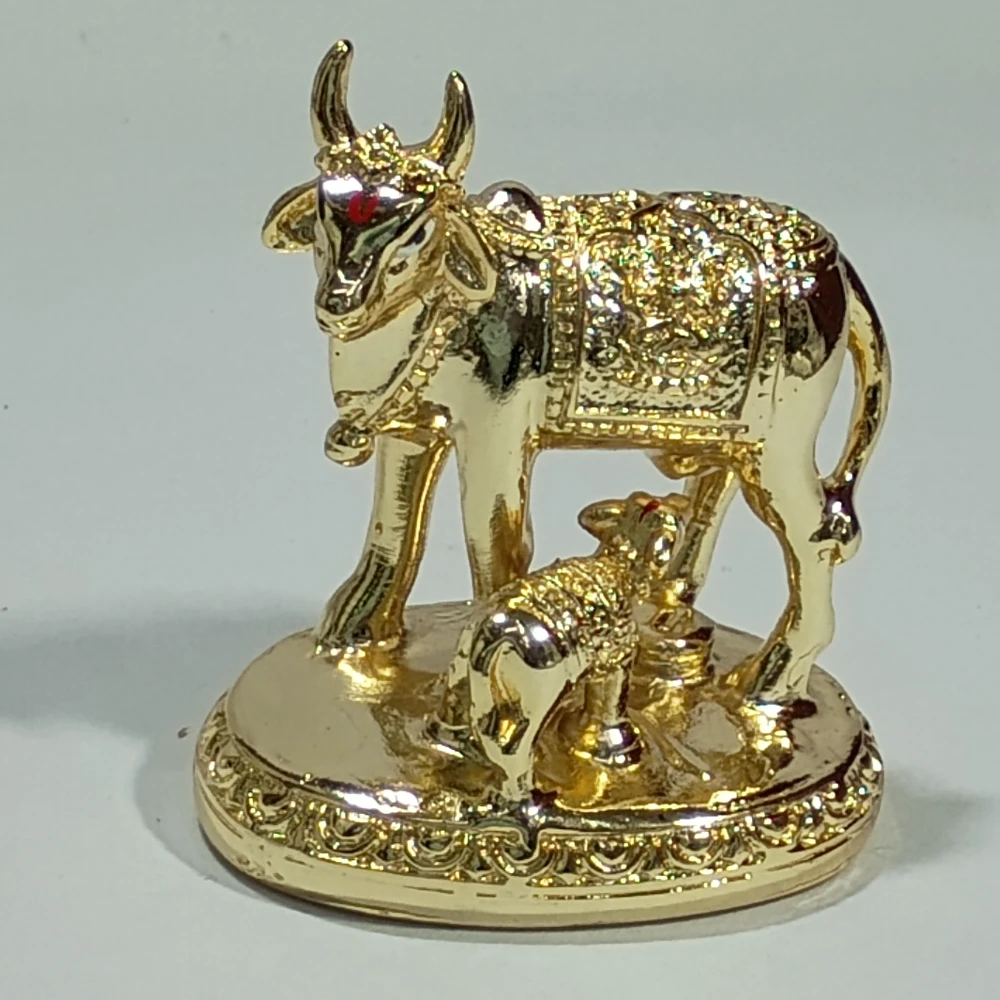 CowCalf-2.5No-Z08547