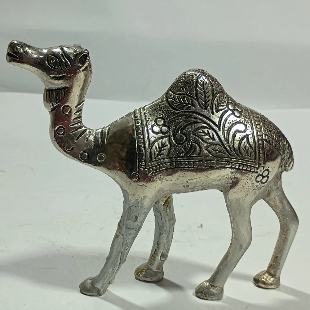 Camel-5.5No-Z01515