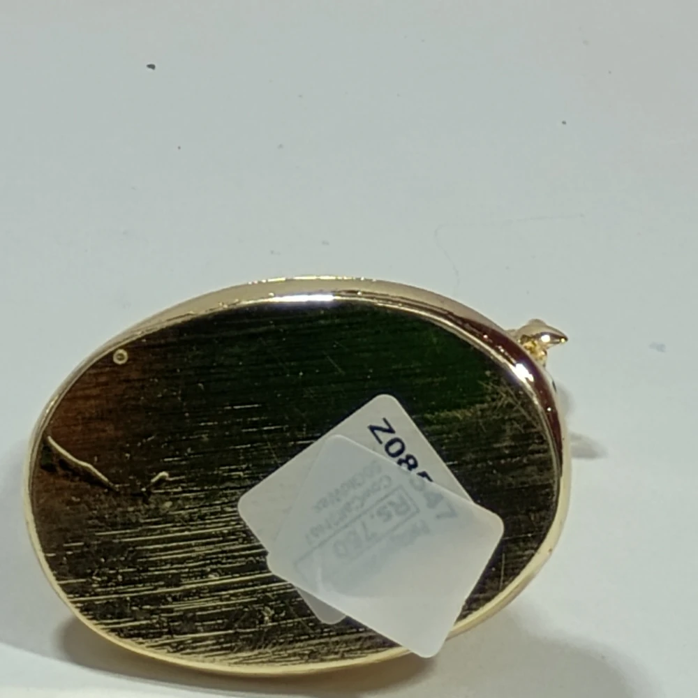 CowCalf-2.5No-Z08547