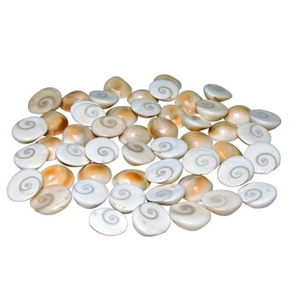 Agatesvibe Certified Gomati Chakra Original River Stones Natural and Authentic Gomti Chakra from Gomathi
