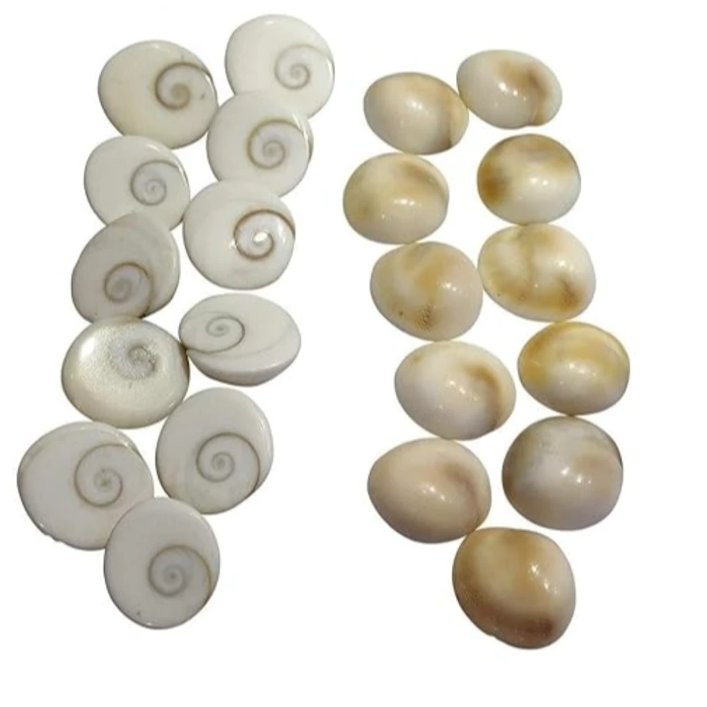 Agatesvibe Certified Gomati Chakra Original River Stones – 100% Natural and Authentic Gomti Chakra from Gomathi River Dwarka | Rare Sacred Spiral for Wealth, Prosperity, Vastu Correction, Protection, (11 Pieces, 15mm)