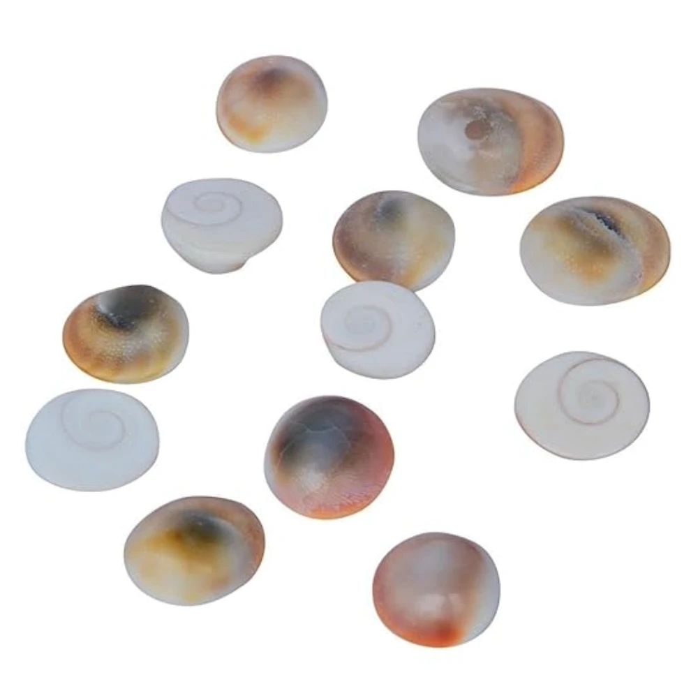 Agatesvibe Certified Gomati Chakra Original River Stones – 100% Natural and Authentic Gomti Chakra from Gomathi River Dwarka | Rare Sacred Spiral for Wealth, Prosperity, Vastu Correction, Protection, (11 Pieces, 15mm)