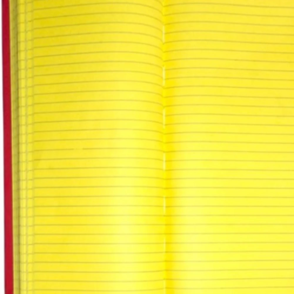 Day Book ( 33 x 13 )cm (RULE/120)
